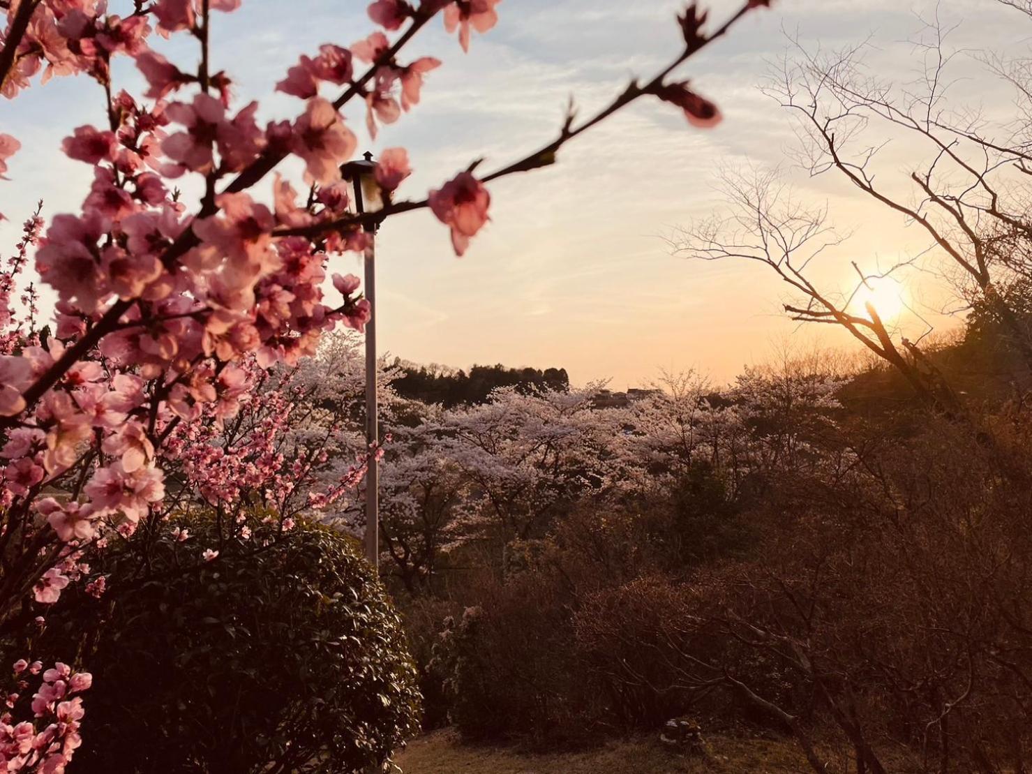 Granping ng が mi no Du Hotel Nakatsugawa Exterior foto